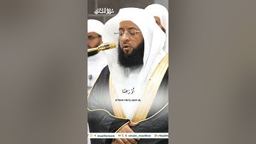 فلما رأوه زلفة سيئت وجوه الذين كفروا _تلاوة مرئية_صلاة الفجر 24 ربيع الآخر 1446هـ_الشيخ بدر التركي