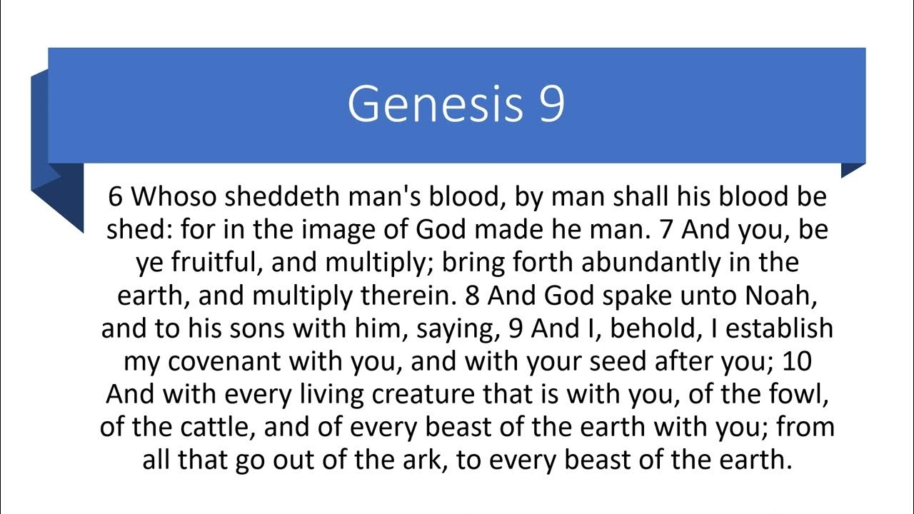 daily-bible-reading-for-7-22-23-genesis-chapter-9-youtube
