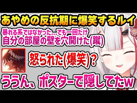 壁に穴をあけてしまったあやめの反抗期話に爆笑するルイw【ホロライブ】
