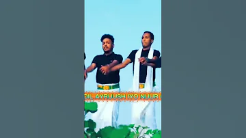 2025 Idil Ayruush NUUR GOSAAR DHAANTO CUSUB 2025 