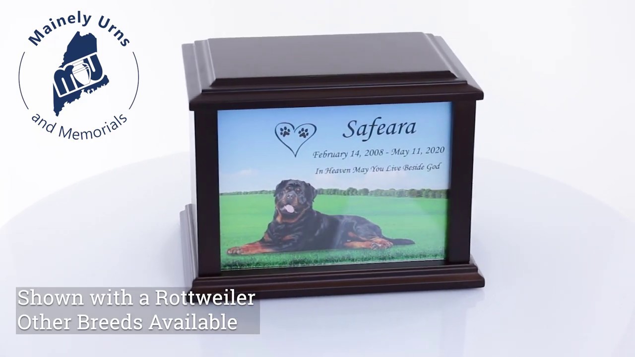 Rottweiler True Companion Dog Photo Pet Cremation Urn - 3 Sizes