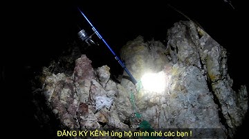 Câu Cá Chét Biển . Mồi câu cá chét biển bằng cá đối