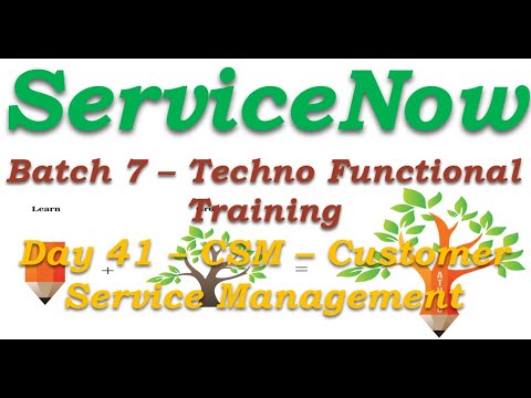 Batch 7 || Day 41 || CSM - Customer Service Management ||Techno Functional Training || San Diego