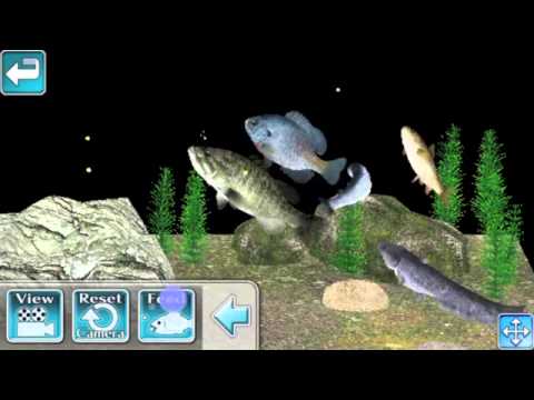 Reel Fishing Pocket w/Aquarium Mode 
