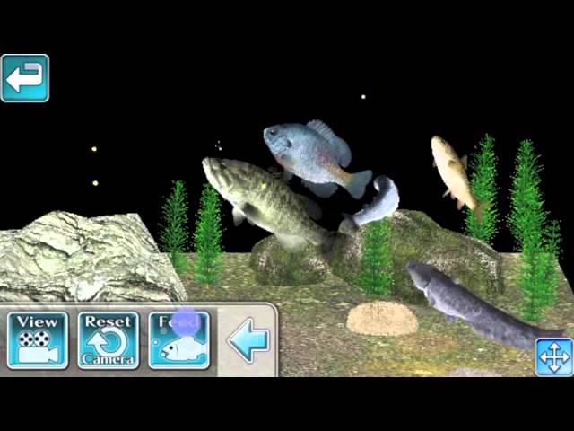 Reel Fishing 2 (PS1) 
