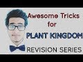 Awesome Tricks to learn plant kingdom for NEET AIIMS JIPMER.