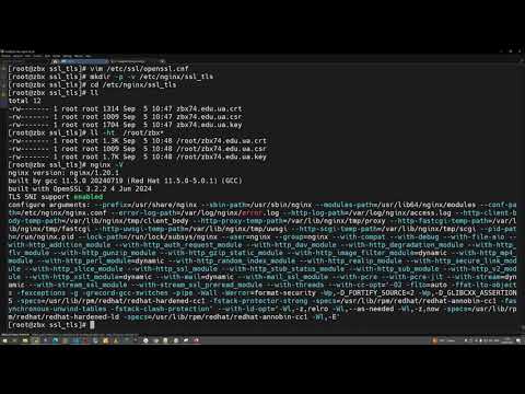 Securing Zabbix Frontend: SSL в Nginx для Zabbix 7.4