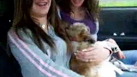 christina n mckenzie
