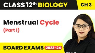 Class 12 Biology Chapter 3 | Menstrual Cycle (Part 1) - Human Reproduction CBSE/NEET (2022-23)