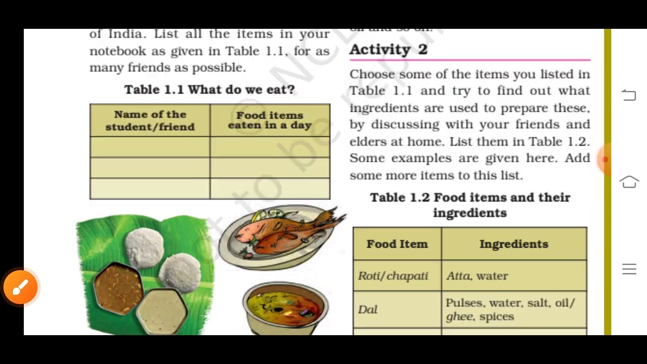 class 6 science chapter 1 name Food where does it come from