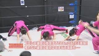 TeamDATE Road to ICERIBBON vol.2