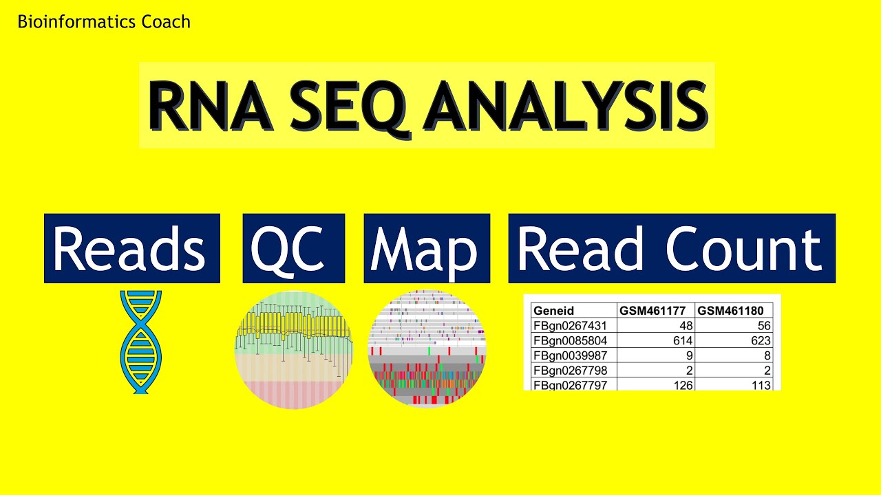 RNA seq Analysis Workflow | From fastq to read counts using ...