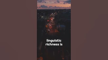Papua New Guinea: World’s most languages 🇵🇬🤟#language #papuanewguinea #shortfacts