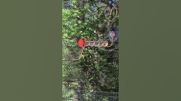 Hummingbird heart window feeder - Skyline Stands on Etsy