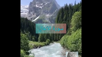 سورة الأنفال بصوت سعد الغامدي -008-  surat al-anfal - bisawt Saad AlGhamdi