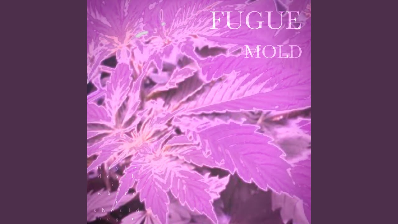 MOLD YouTube mold-youtube