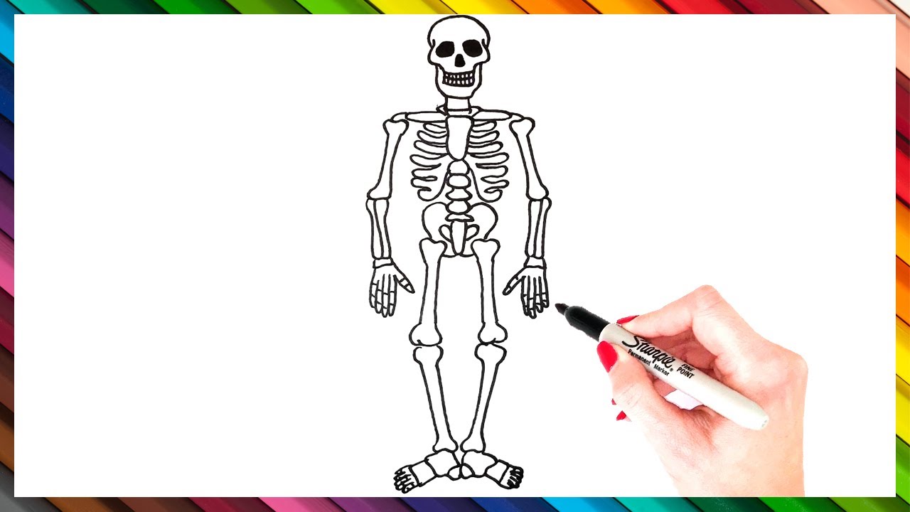 skeleton drawing for kids