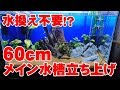 【賛否両論⁉】水換え不要？のメイン水槽立ち上げ