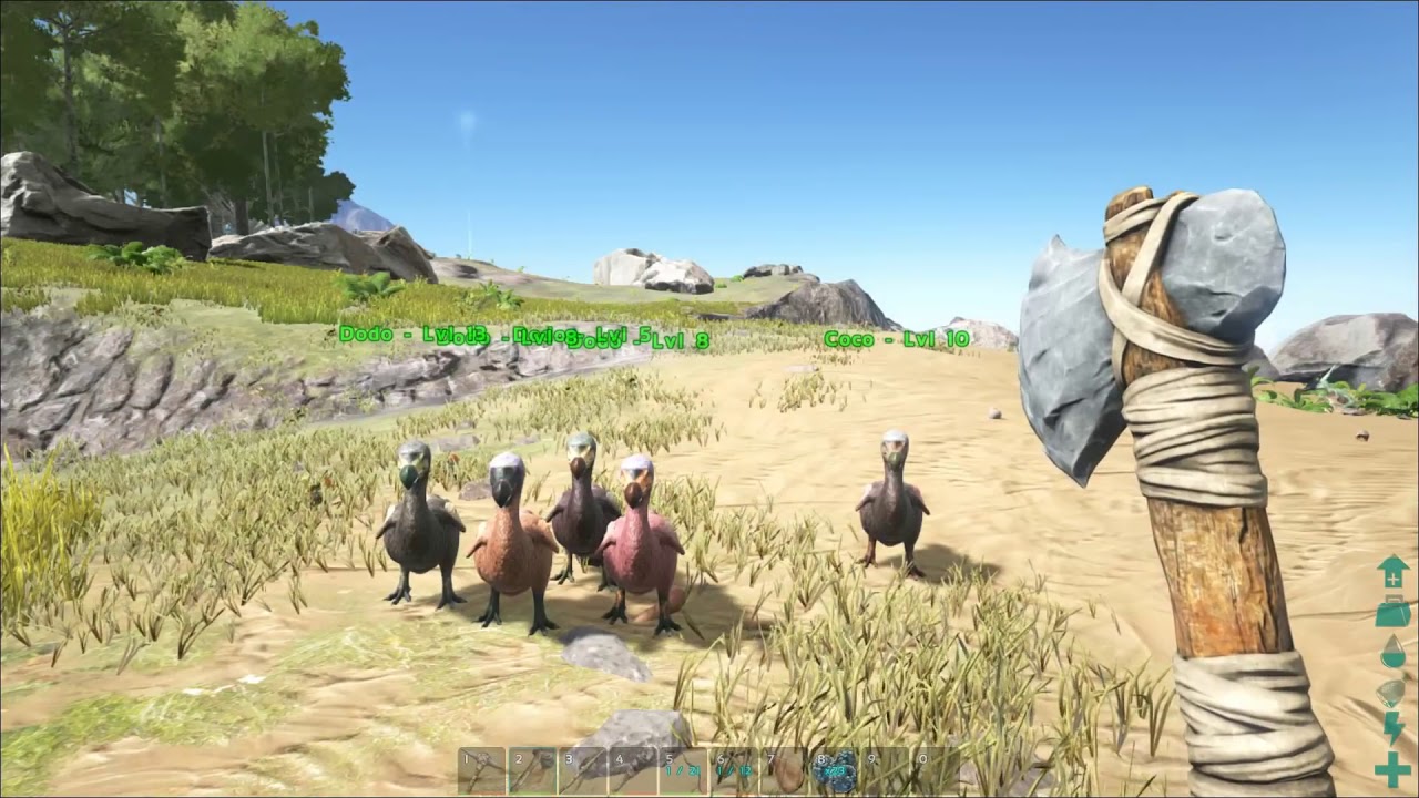 Ark:Survival Evoled- Como domesticar un dodo - YouTube