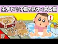 【2chほのぼの】愛猫が出産した子猫を、娘に見せに来てくれるwww