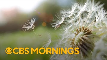 Expert on how climate change could make allergy season longer and more severe