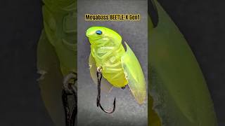 Megabass's Dark History? Original BEETLE-X｜JDM Tackle - YouTube