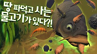 편하게 먹고 쉽게 사는 게으른 물고기 업데이트(?) - 피드 앤 그로우 피쉬 - 겜브링(GGAM BRING)