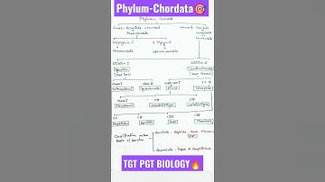 Phylum-Chordata/Animal kingdom/Classification of chordata/TGT PGT BIOLOGY#biology #science #shorts