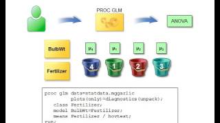 51  The GLM Procedure