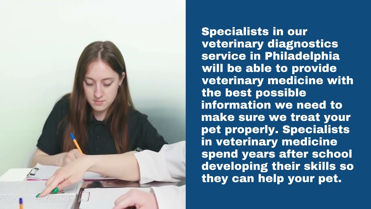 Veterinarian Philadelphia - Veterinary Diagnostics