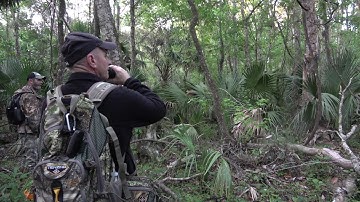 TRYING TO CATCH what