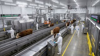Inside a Beef Factory You’ve Never Seen Before