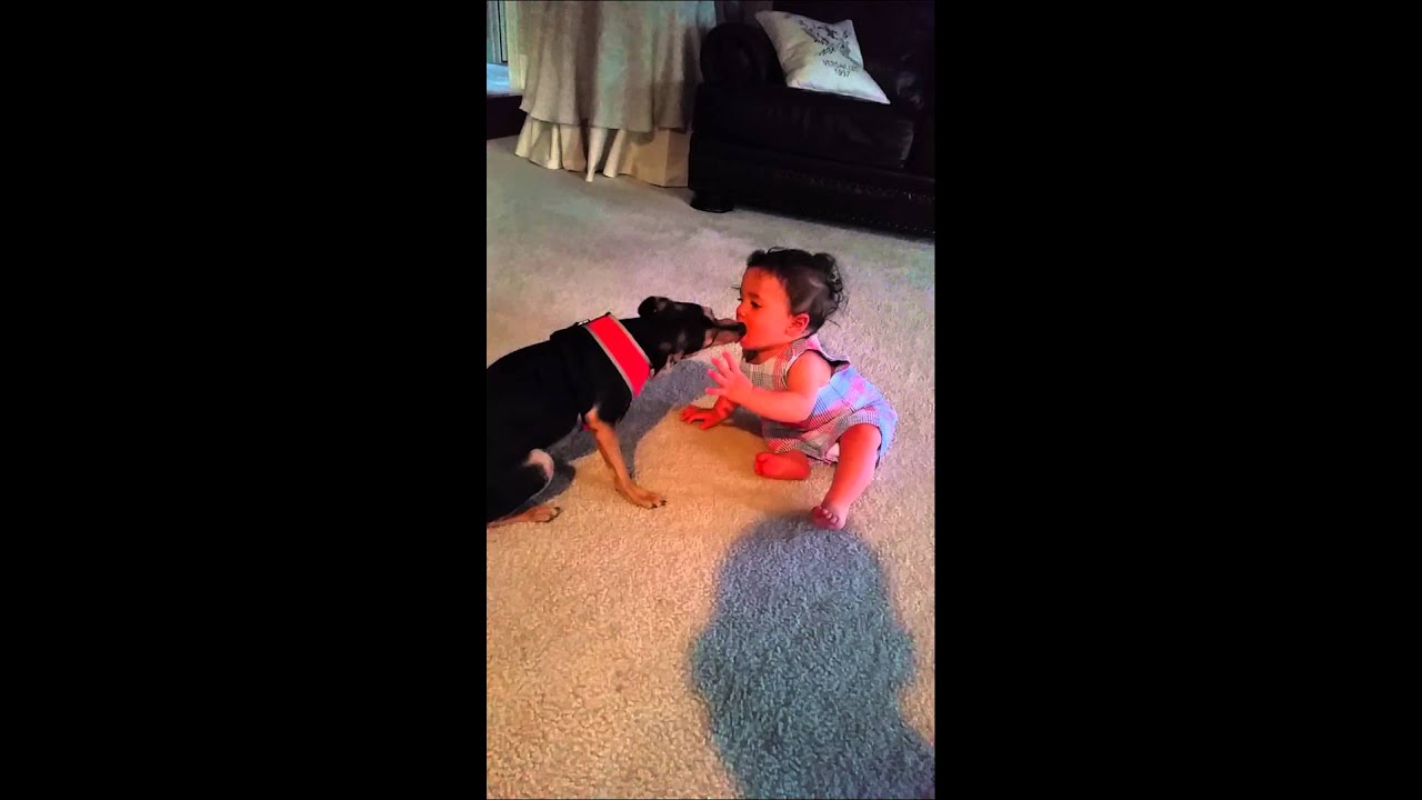 Baby Puppy Kisses