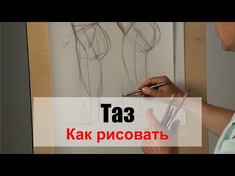 Как рисовать "Разница мужского и женского таза" /часть 2/ - А. Рыжкин