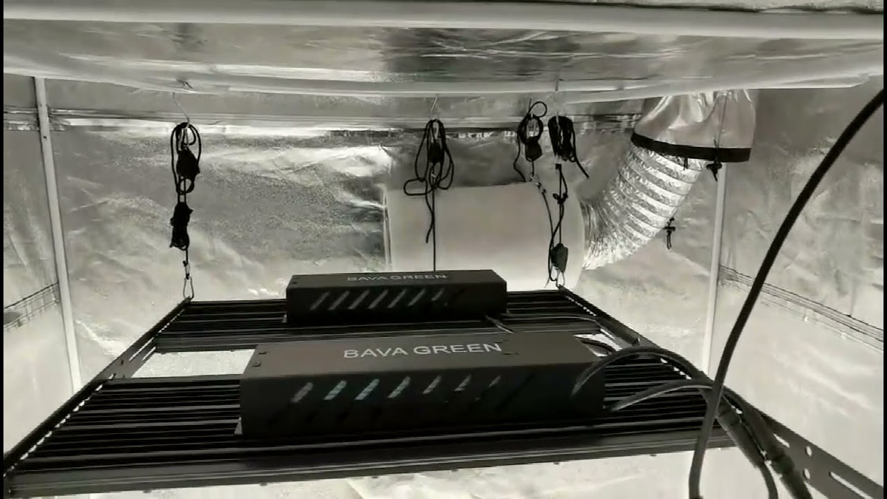 BAVAGREEN 5x5 720W LED Grow Light SAMSUNG Quantum LED Board 1836umol/S