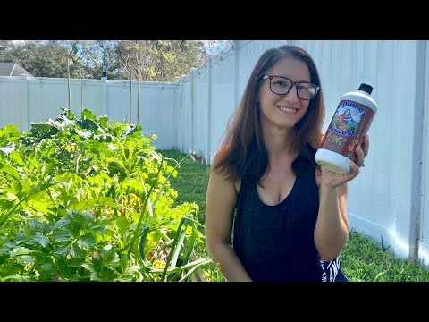 INCREASE YOUR YIELDS! How to Fertilize Your Vegetable Garden