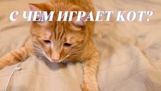 Смешной кот Том / С чем играют Коты / Игры с котами / Веселые коты / Спешные котики / Котёнок бегает