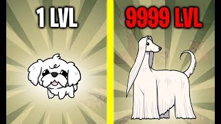 MAX LEVEL DOG EVOLUTION! All 30 Dogs Unlocked! Max Level Speed & Power (9999+ Level Dog!) screenshot 4