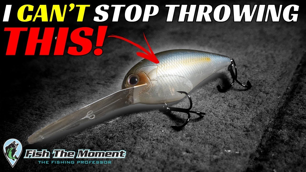 My New Go-To Offshore Bait In 2024