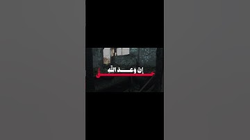 ايات من سورة فاطر بصوت الشيخ محمد ايوب | تلاوة خاشعة وهادئه