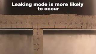 Double diffusive sedimentation