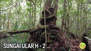 HANYA MANG ONDELL YANG BERANI BERCEBUR DISUNGAI INI .. 😰 .. SUNGAI ULAR HARI KE DUA ..