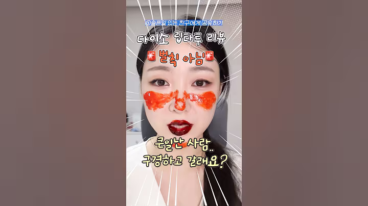 다이소 립타투 셀프 대참사 리뷰🫢