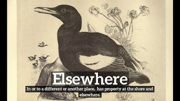 What is Elsewhere? | How Does Elsewhere Look? | How to Say Elsewhere in English?