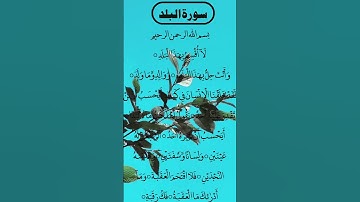 AL BALAD ❤️ سورة البلد #egzonibrahimi #surahalbalad #albalad