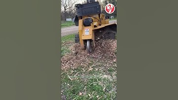 Trees | Tree root removal machines