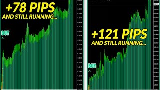 The Best Scalper For Trading For Forex! [Triumph Scalper]