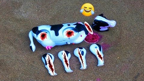 WADIDAU ! PROSES POTONG SAPI KURBAN.   Part 19