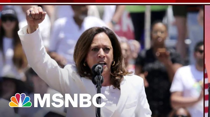 VP Harris Discusses Abortion, Immigration In New V...