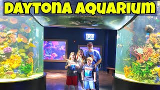 *New* Daytona Aquarium & Rainforest Adventure Tour & Lunch at Bucee's Daytona Florida